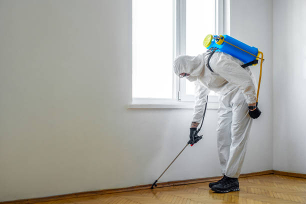 Best Commercial Pest Control  in Meadowbrook, VA